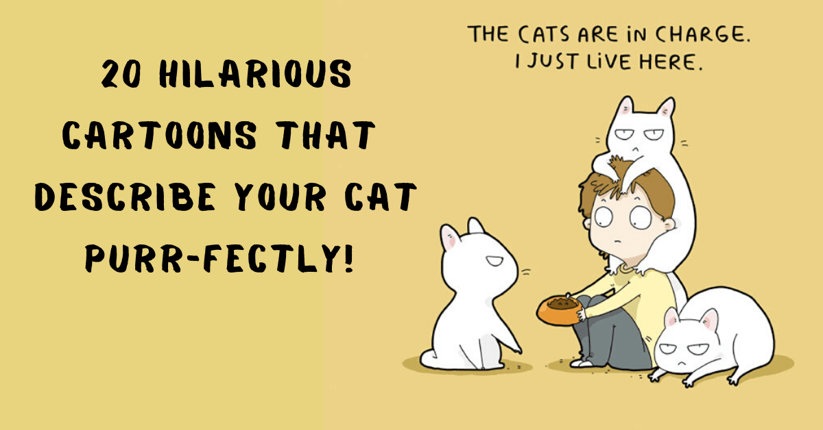 20 Hilarious Comics That Explain Life with Cats Purrfectly