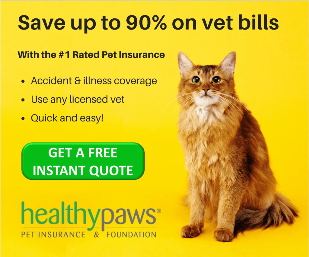 https://nationalkitty.com/wp-content/uploads/2018/07/healthy-paws-ad-final--1024x853.png.webp