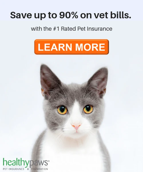 https://nationalkitty.com/wp-content/uploads/2018/09/healthy-paws-sidebar.png.webp