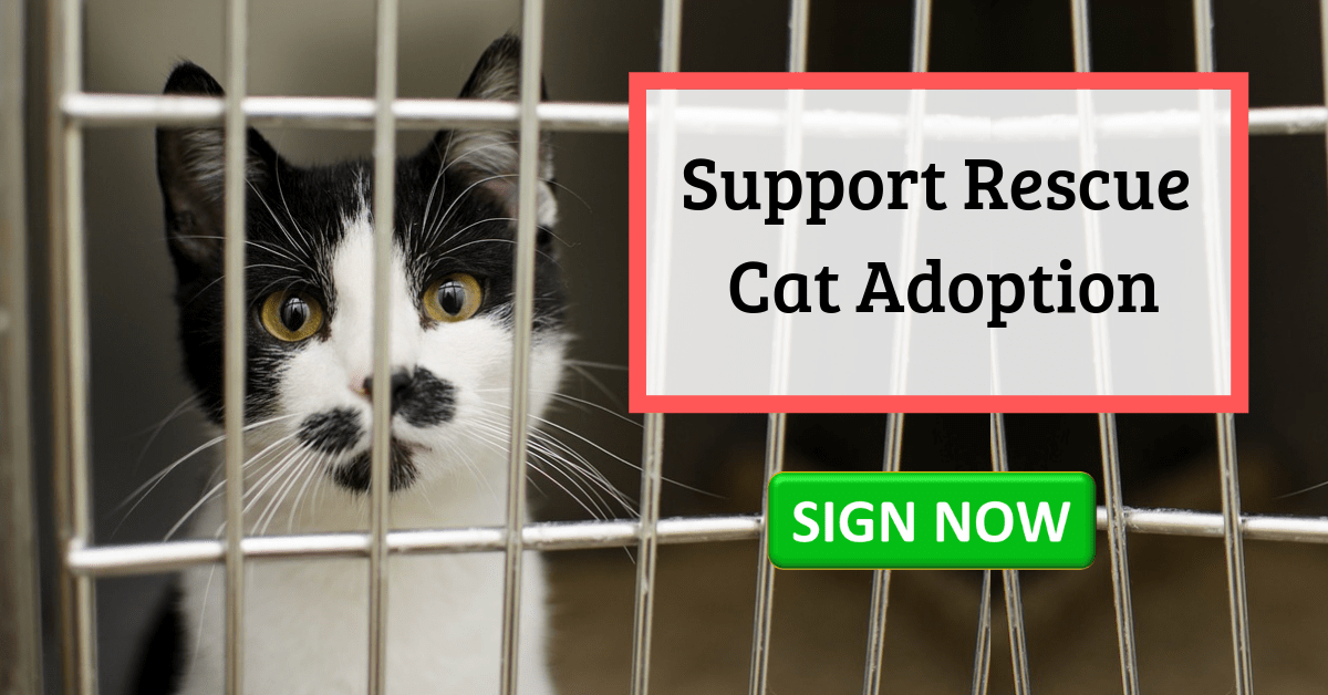 PETITION: Support Rescue Cat Adoption
