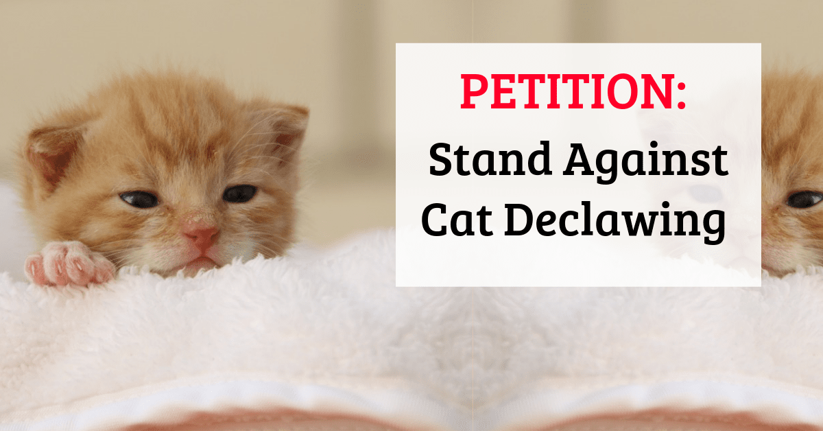 PETITION: Stand Against Cat Declawing