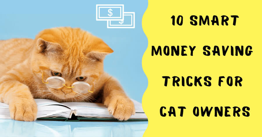 10 Genius Money Saving Tricks Every Cat Owner Should Know