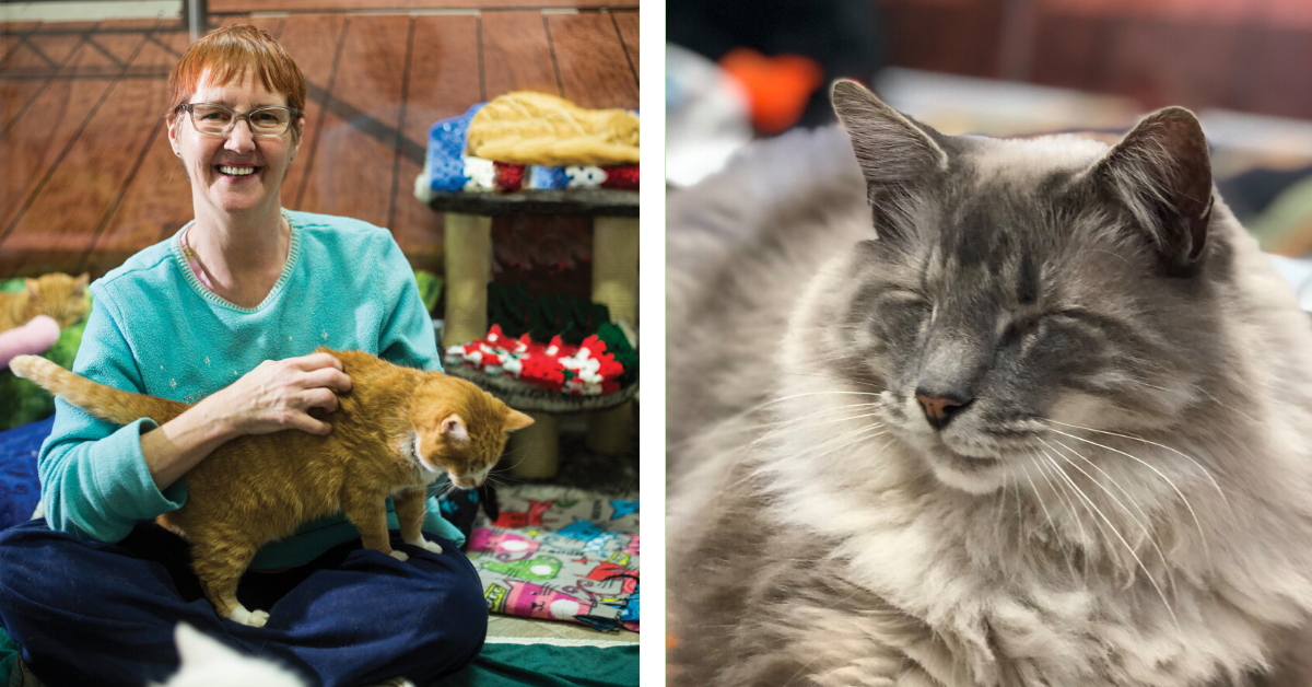 Heroic Woman Makes Sanctuary To Save Blind Cats From Euthanasia