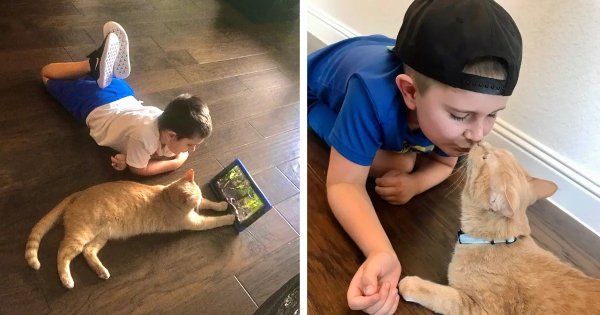 Third Grade Boy Becomes Best Friends with Cat Who Plays Video Games With Him
