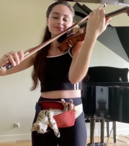 Foster Kitten Cries Until Violinist Holds Her and Plays Sweet Lullaby