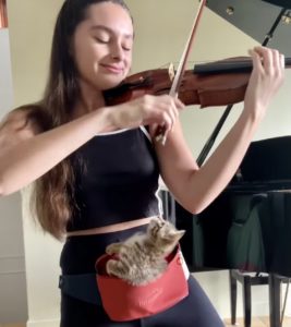 Foster Kitten Cries Until Violinist Holds Her and Plays Sweet Lullaby