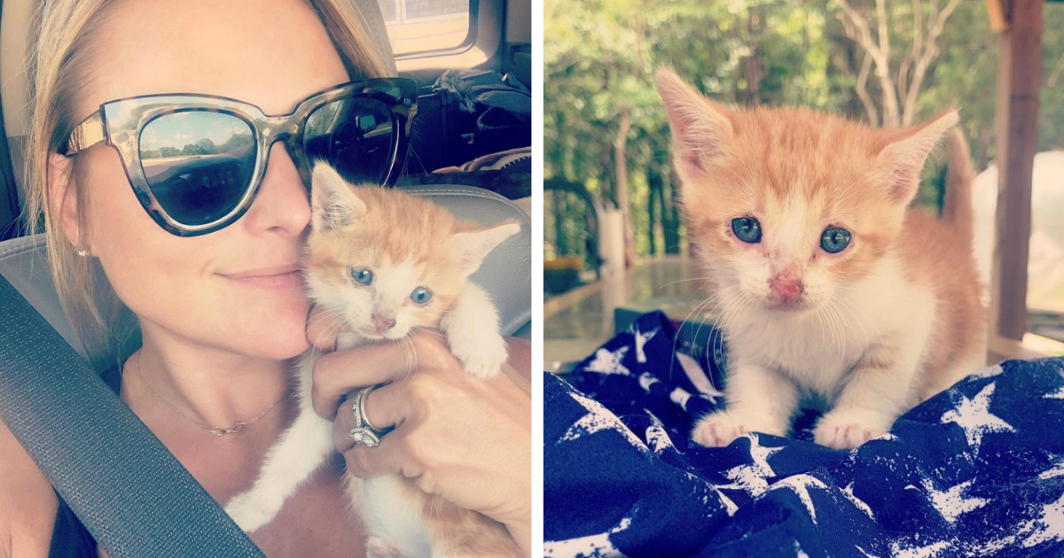 Miranda Lambert & Husband Drop Everything to Rescue Tiny Stray Kitten Near Highway
