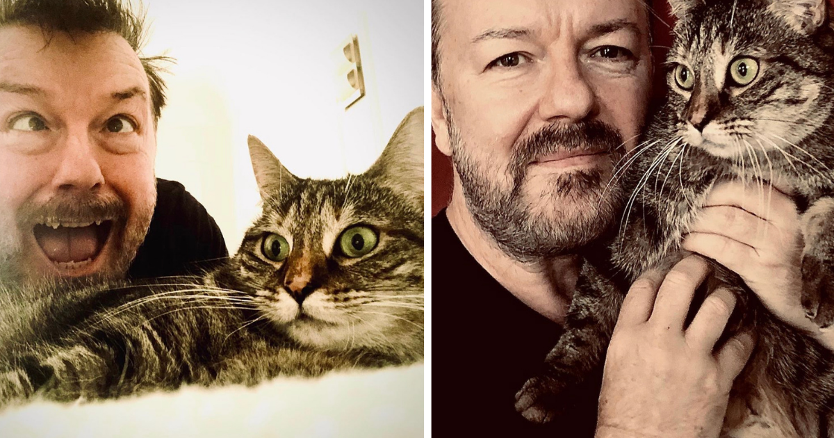 Ricky Gervais Opens His Heart to New Cat After Grieving Loss of Former Cat