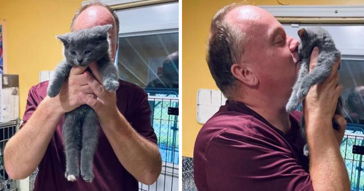Shelter Worker’s Heart Stolen by Chatty Kitten Who Insists on Going Home with Him