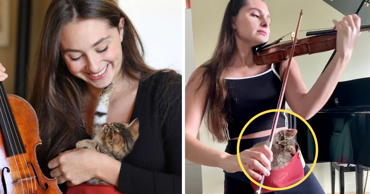 Foster Kitten Cries Until Violinist Holds Her and Plays Sweet Lullaby