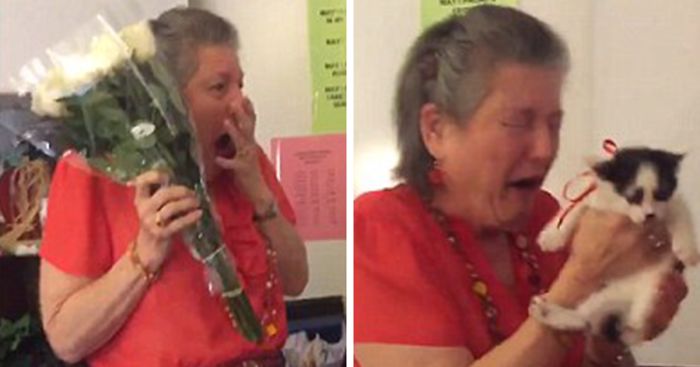 Teacher Grieves Loss of Her Senior Cat, Caring Students Surprise Her with 2 Rescue Kittens