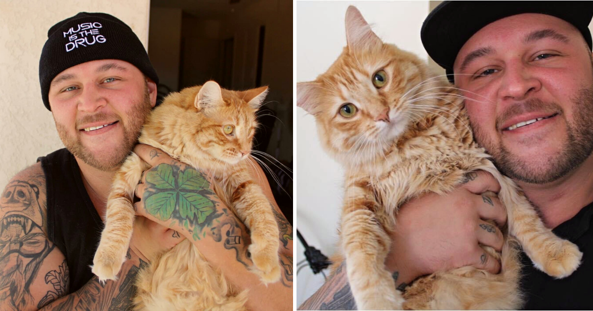Man Overcomes Addiction with Help of Supportive Stray Cat Who Became His Hero