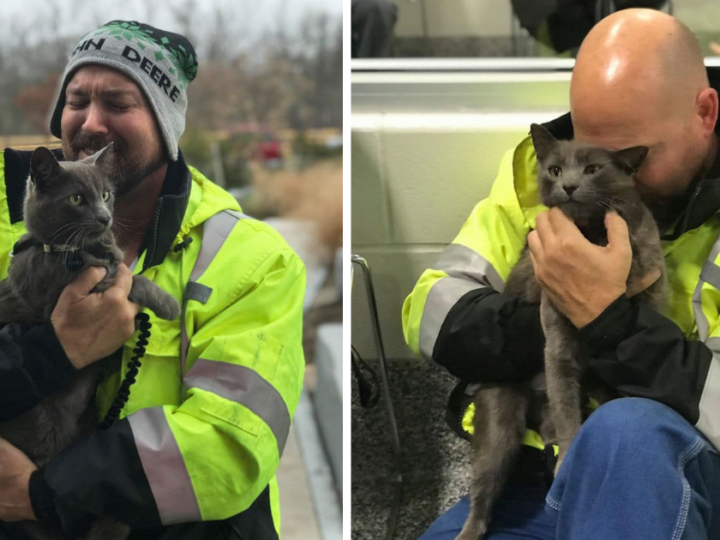 Truck Driver Bursts into Tears When Reunited with Lost Cat After 5 Months