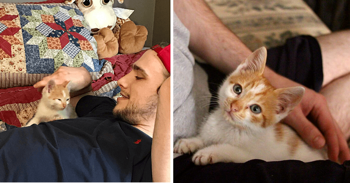 Kitten Rescued from Car Engine Wins Over Man Who Swore He Didn’t Want A Cat