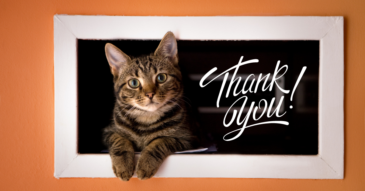 Thank You for Joining the Meow Mail Program!