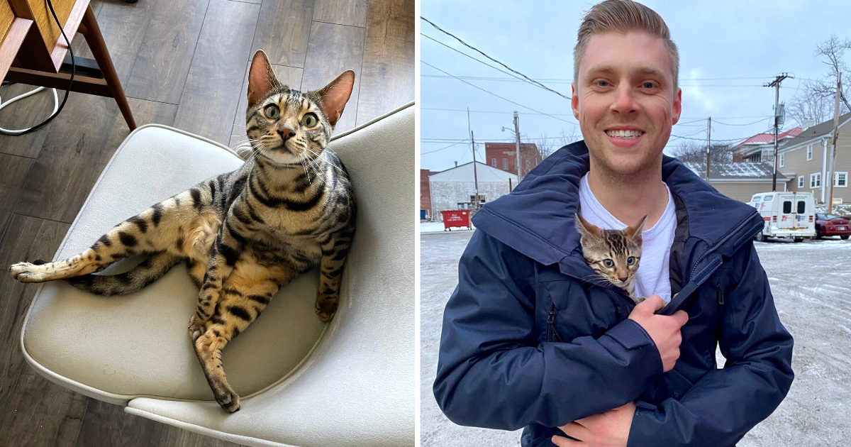 Adventurous Cat Insists on Going Everywhere with Dad, Greets Strangers with Friendly Chirp