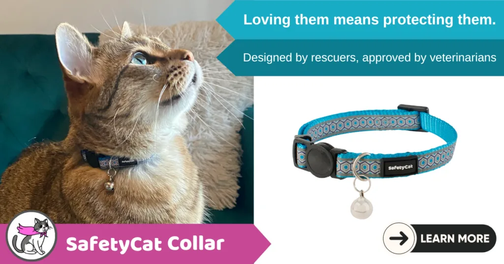 Collars for cats clearance that hate collars